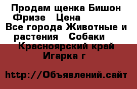 Продам щенка Бишон Фризе › Цена ­ 30 000 - Все города Животные и растения » Собаки   . Красноярский край,Игарка г.